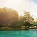 Staysure: A Comprehensive Look at Their Unique Offerings