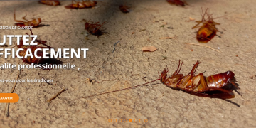 Action Anti-Nuisible : Une solution efficace contre les nuisibles du quotidien