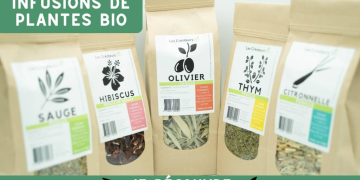 les créateurs bio : des produits naturels pour toute la famille