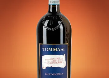 Tannico: Un Mondo di Vini Prelibati a Portata di Mano