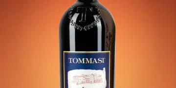 Tannico: Un Mondo di Vini Prelibati a Portata di Mano