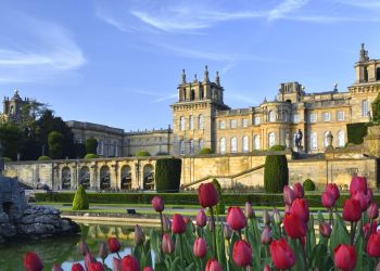 Blenheim Palace: A Historical Gem with Timeless Elegance